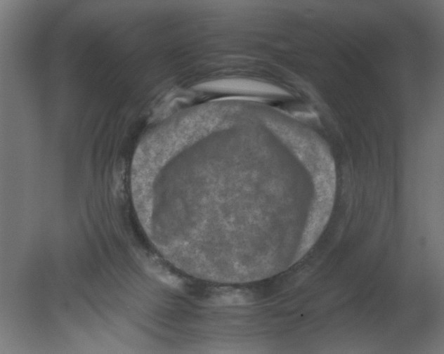 X0000080750073200701122014