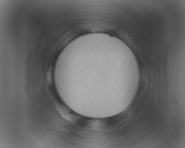 X0000080750074200701122014