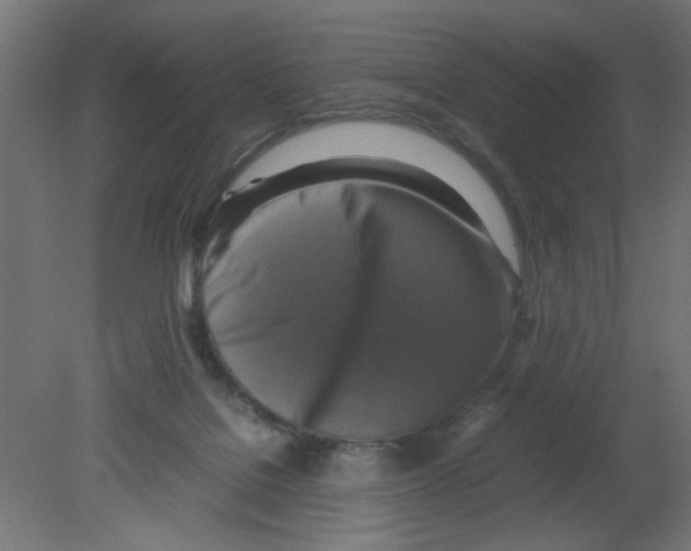 X0000080750076200701122014