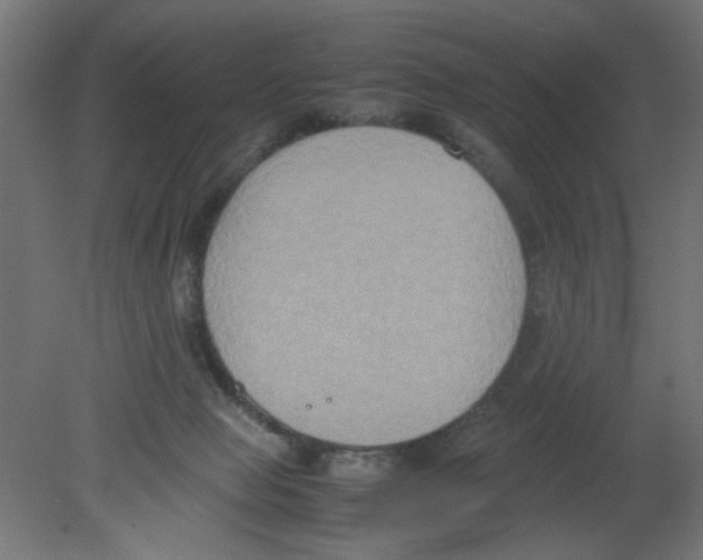 X0000080750077200701122014