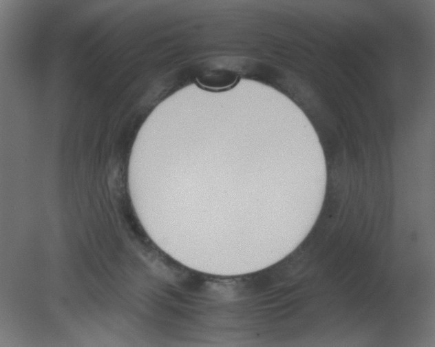 X0000080750079200701122014