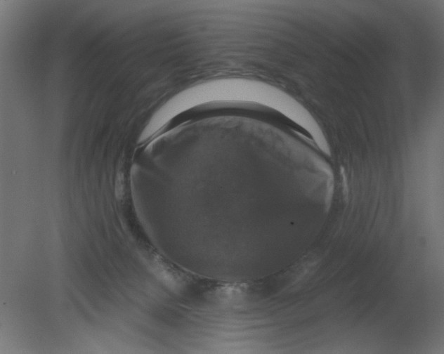 X0000080750080200701122014