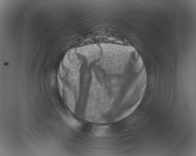 X0000080750081200701122014