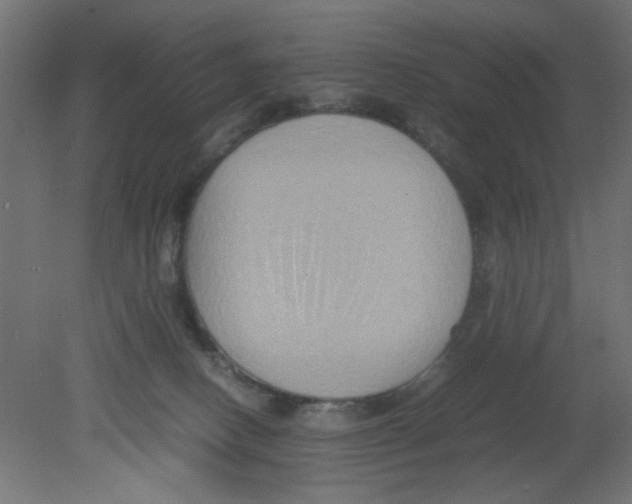 X0000080750082200701122014