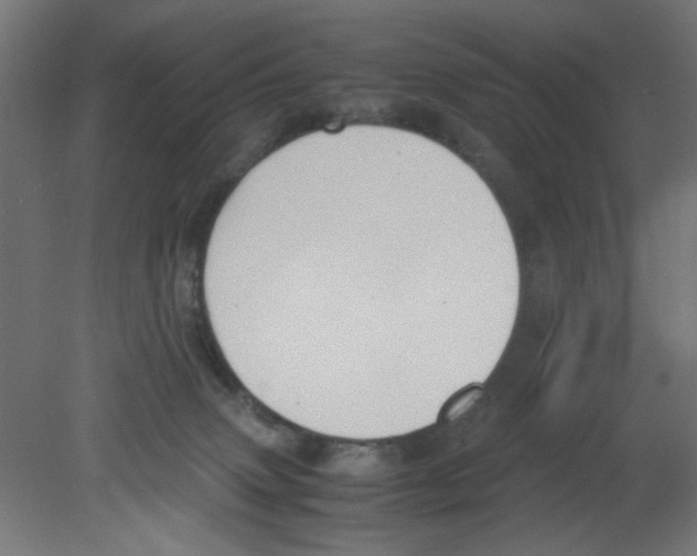 X0000080750083200701122014