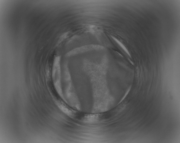 X0000080750084200701122014