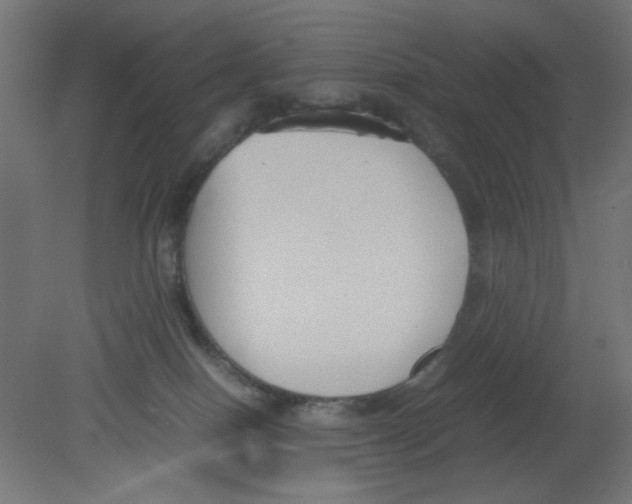 X0000080750086200701122014