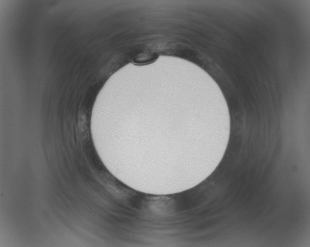 X0000080750087200701122014