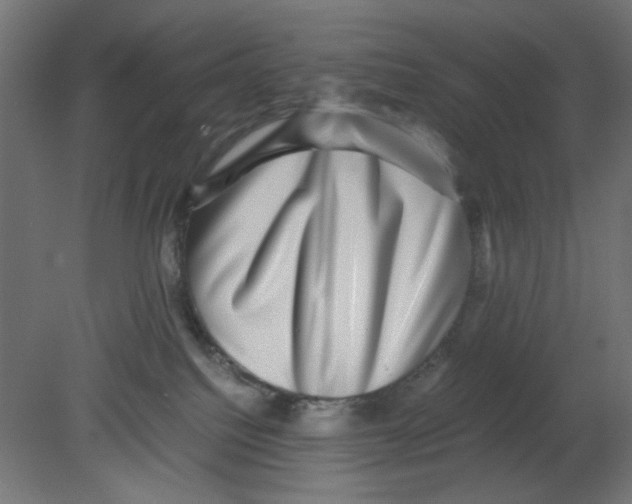 X0000080750088200701122014