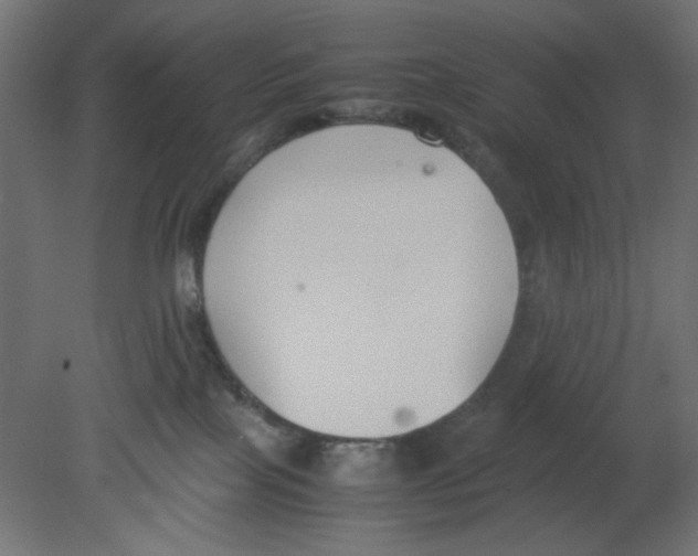 X0000080750089200701122014