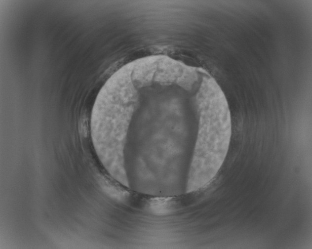 X0000080750090200701122014