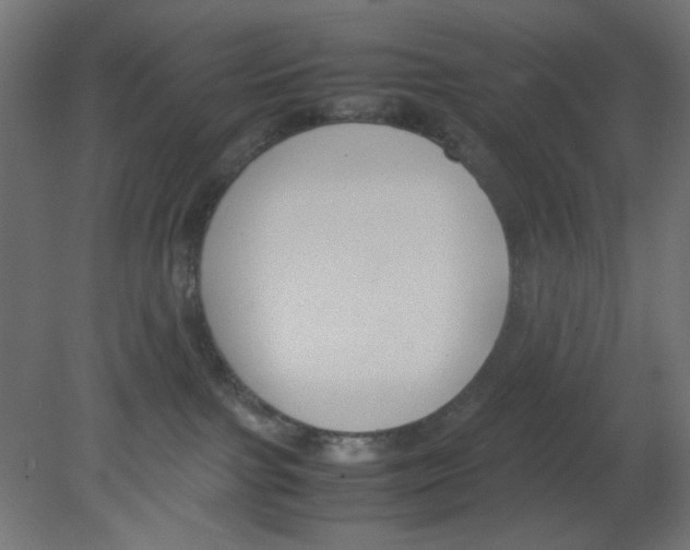 X0000080750091200701122014