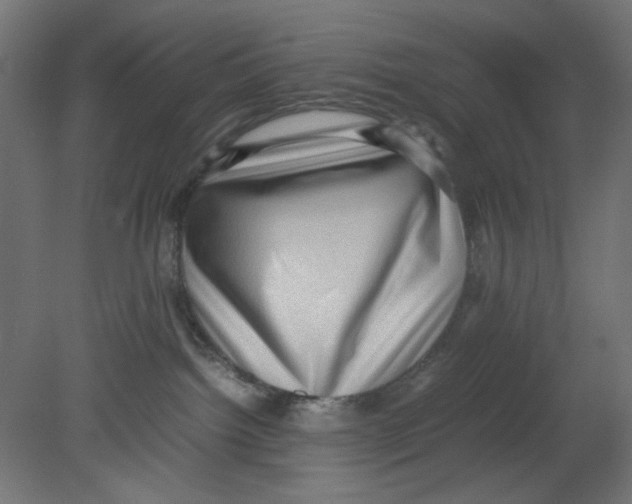 X0000080750092200701122014