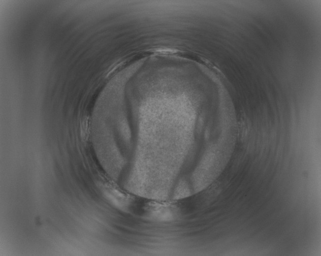 X0000080750093200701122014