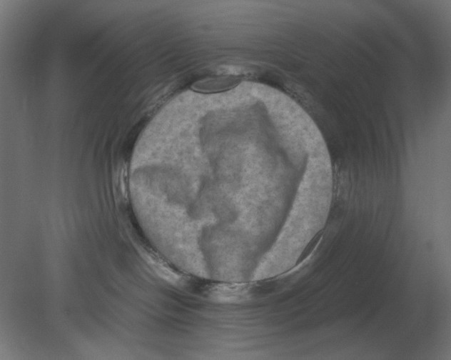 X0000080750094200701122014