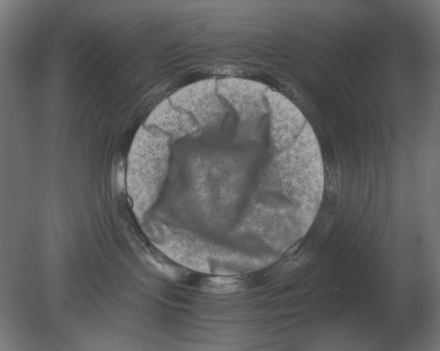 X0000080750095200701122014