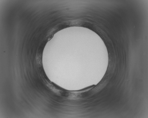 X0000080750096200701122014