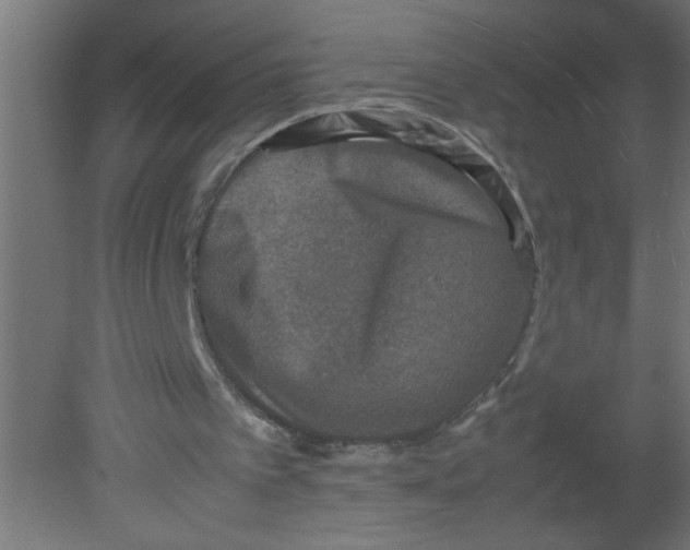 X0000080750097200701122013