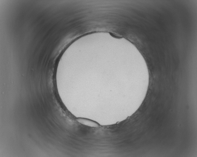 X0000080750098200701122013