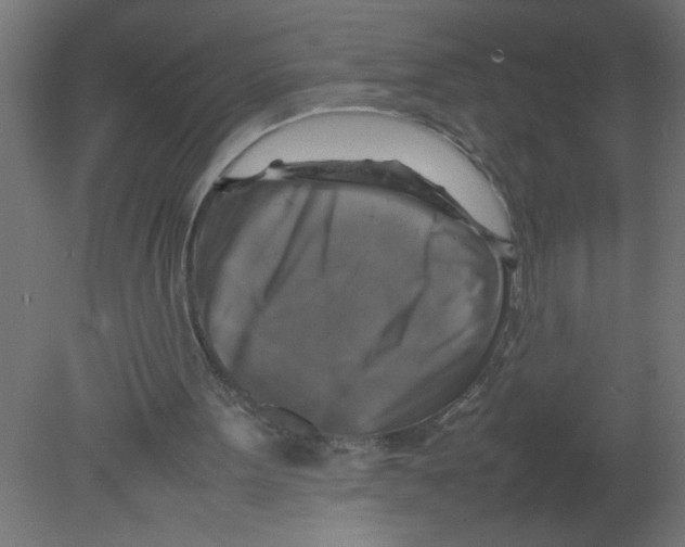 X0000080750099200701122013