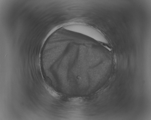 X0000080750100200701122013