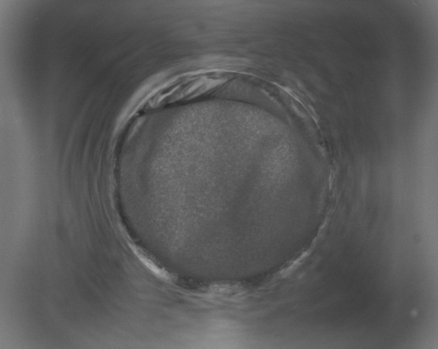 X0000080750101200701122013