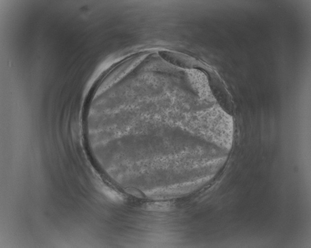 X0000080750102200701122013