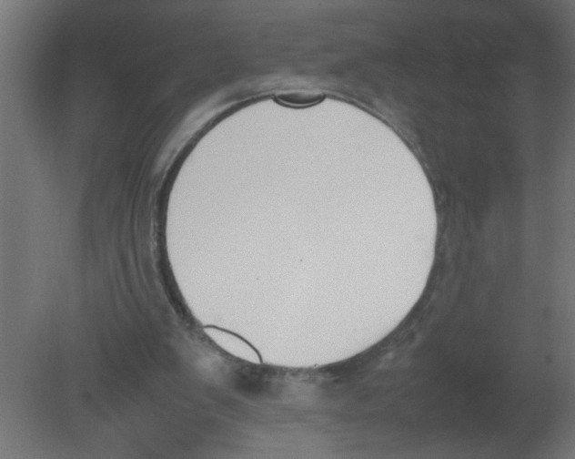 X0000080750103200701122013