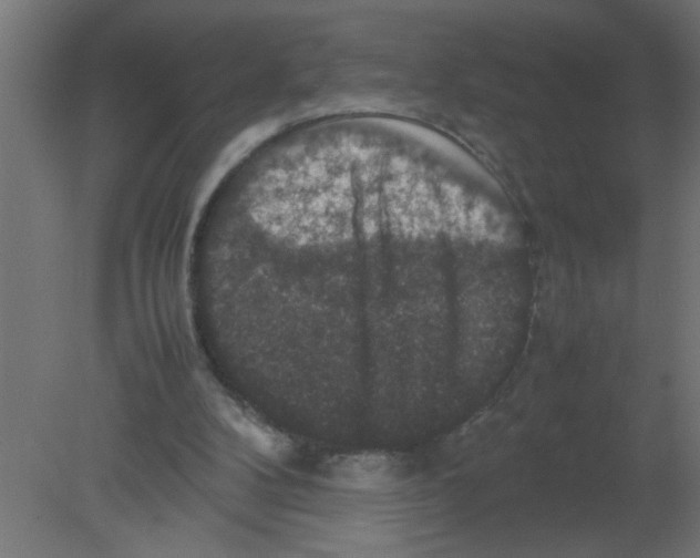 X0000080750104200701122013