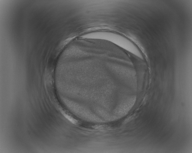 X0000080750105200701122013