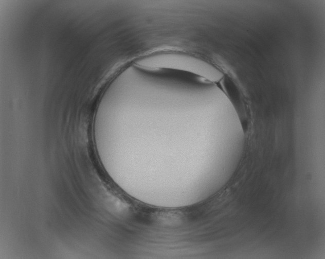 X0000080750106200701122013