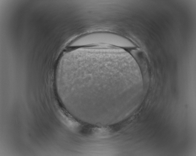 X0000080750107200701122013