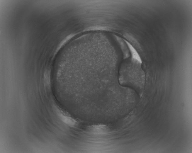 X0000080750108200701122013