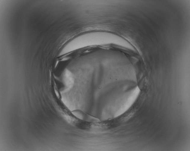 X0000080750109200701122013