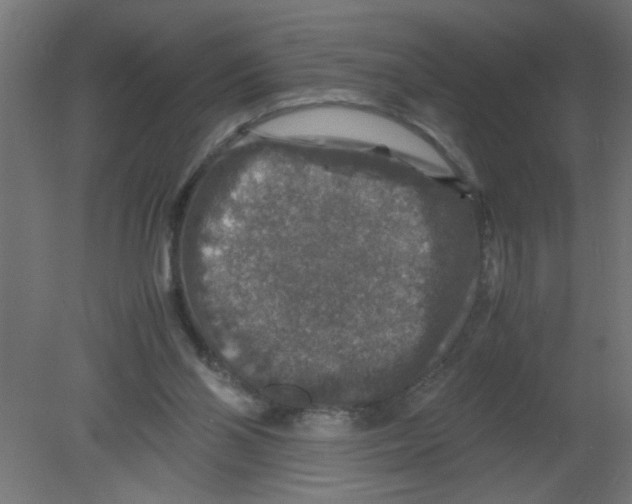 X0000080750110200701122013