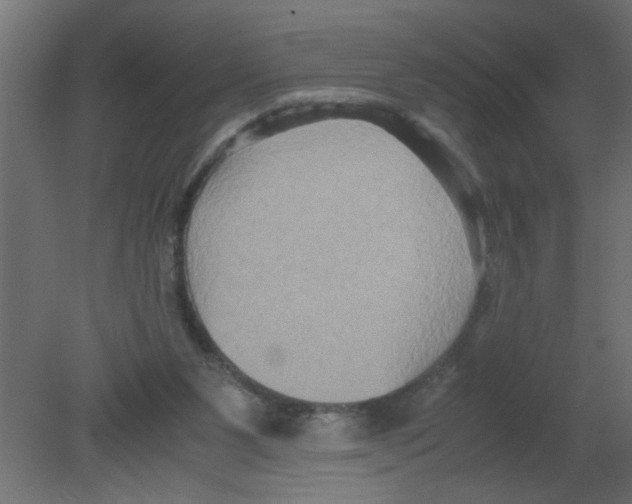 X0000080750111200701122013