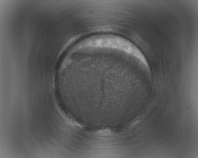 X0000080750112200701122013