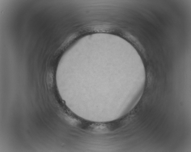 X0000080750113200701122013