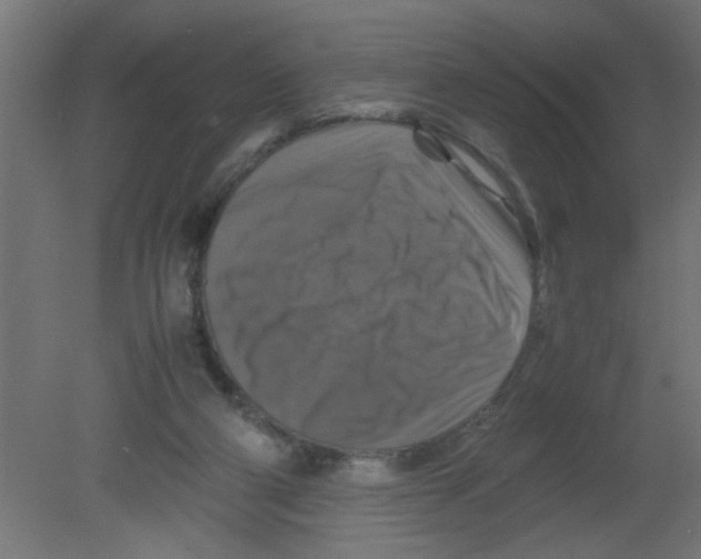 X0000080750114200701122013