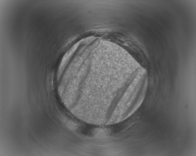 X0000080750115200701122013