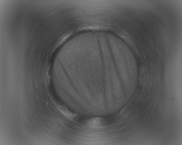 X0000080750116200701122013