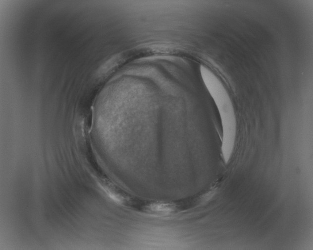 X0000080750117200701122013