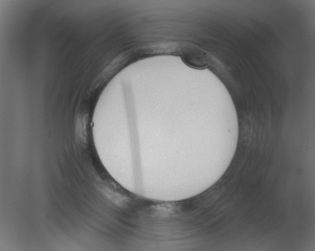 X0000080750118200701122013