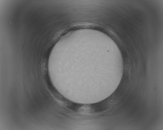 X0000080750119200701122013