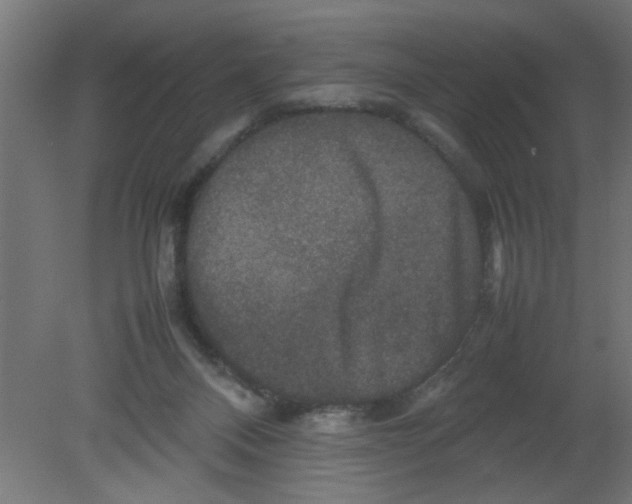 X0000080750120200701122013