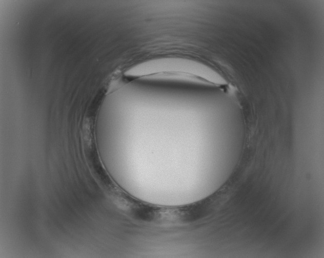 X0000080750121200701122013