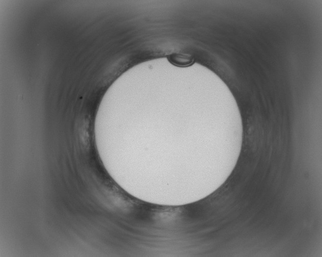 X0000080750122200701122013