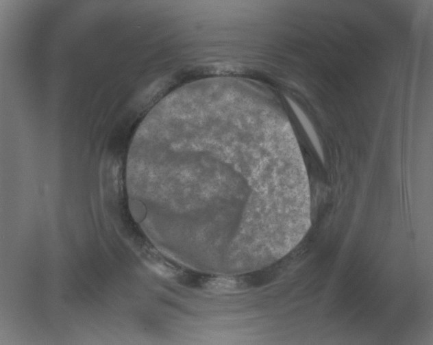 X0000080750123200701122013