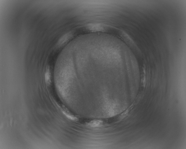 X0000080750124200701122013