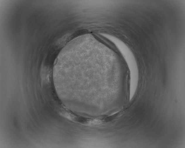 X0000080750125200701122013